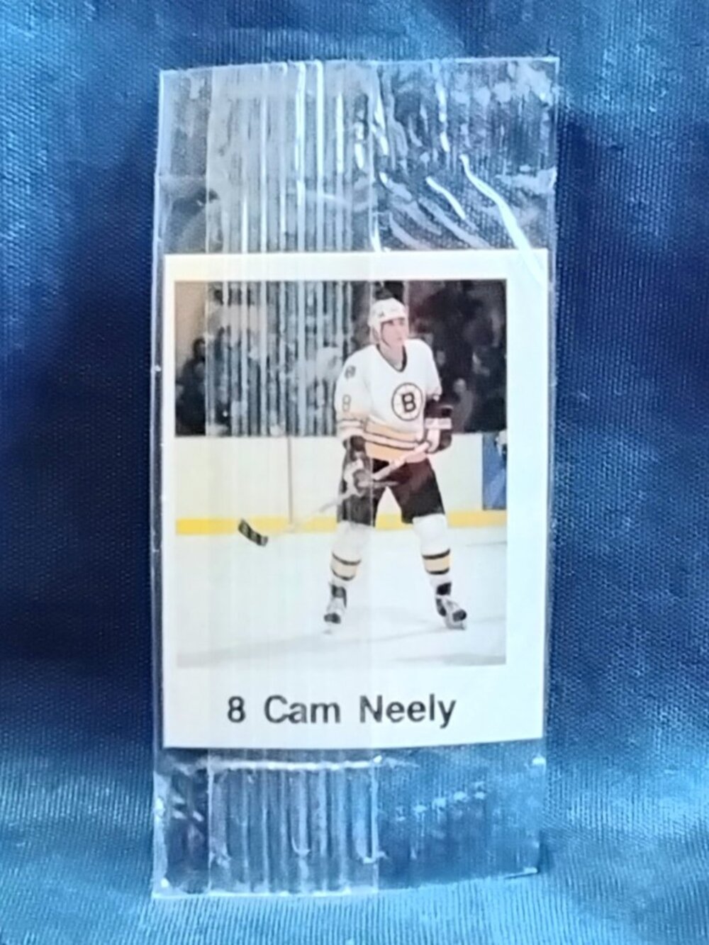 3/$25 Sealed 1988/89 Frito-Lay Cam Neeley Mini NHL Stars Sticker Card!!